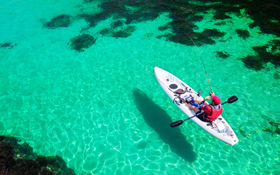 漁夫與商人的故事》當下過的還不錯 不代表有選擇權