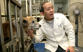 獸醫杜白的生死學