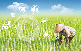 以科技突破台灣農業挑戰