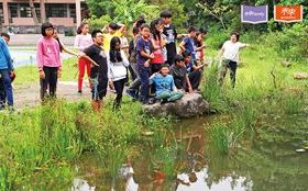 綜合創意主題：新北深坑國小〉讓學習跟生活情境接軌