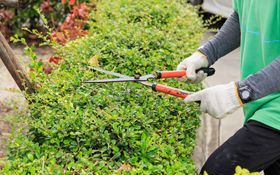 市場充滿不確定性，投資人應該像個園丁，而不是木匠