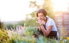 你不可能愛上一座花園，卻不要裡頭的毛毛蟲