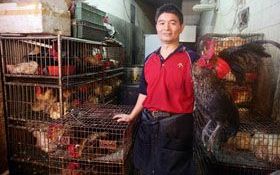 知識升級後存房救現金