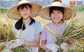 未來教育 臺灣100：教育不能只傳授專業知識，更需培養合作和思考等能力