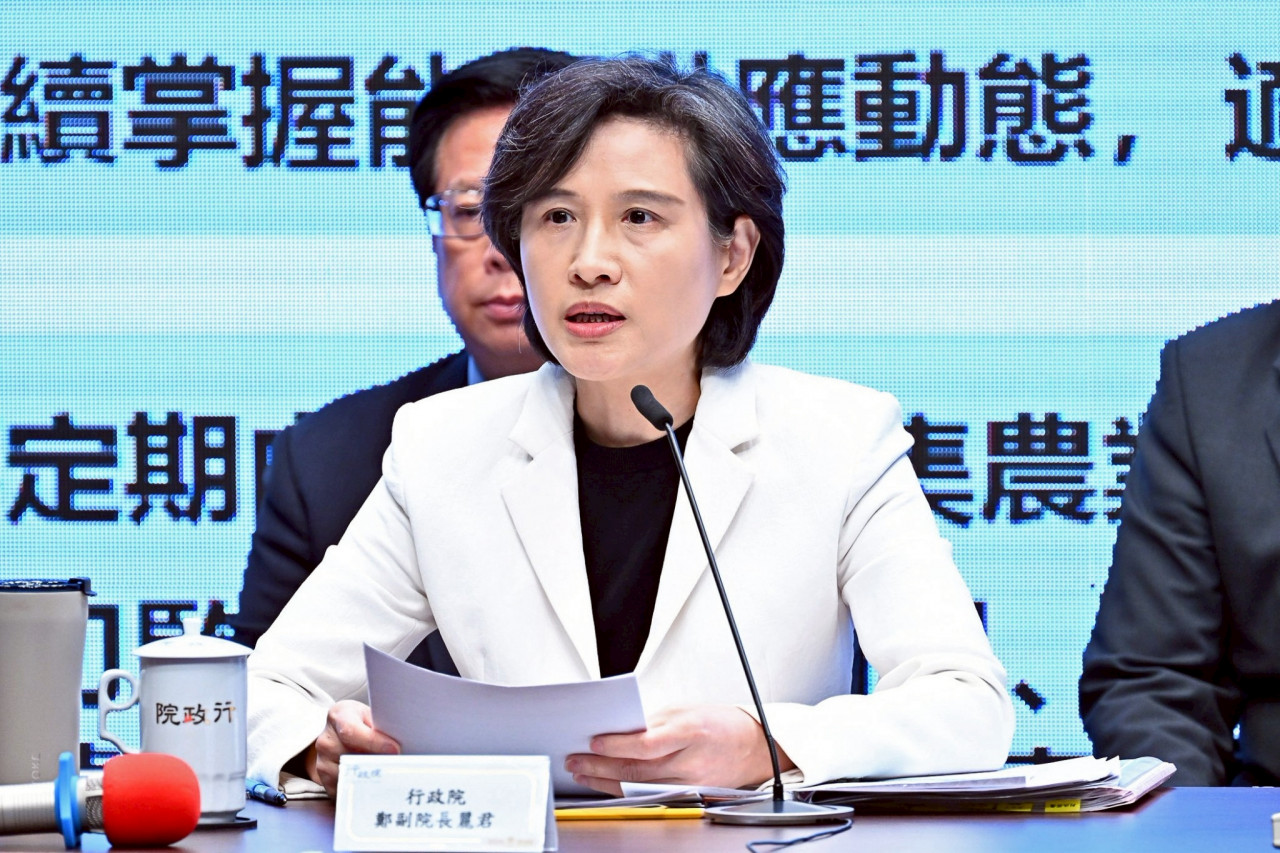 行政院副院長鄭麗君