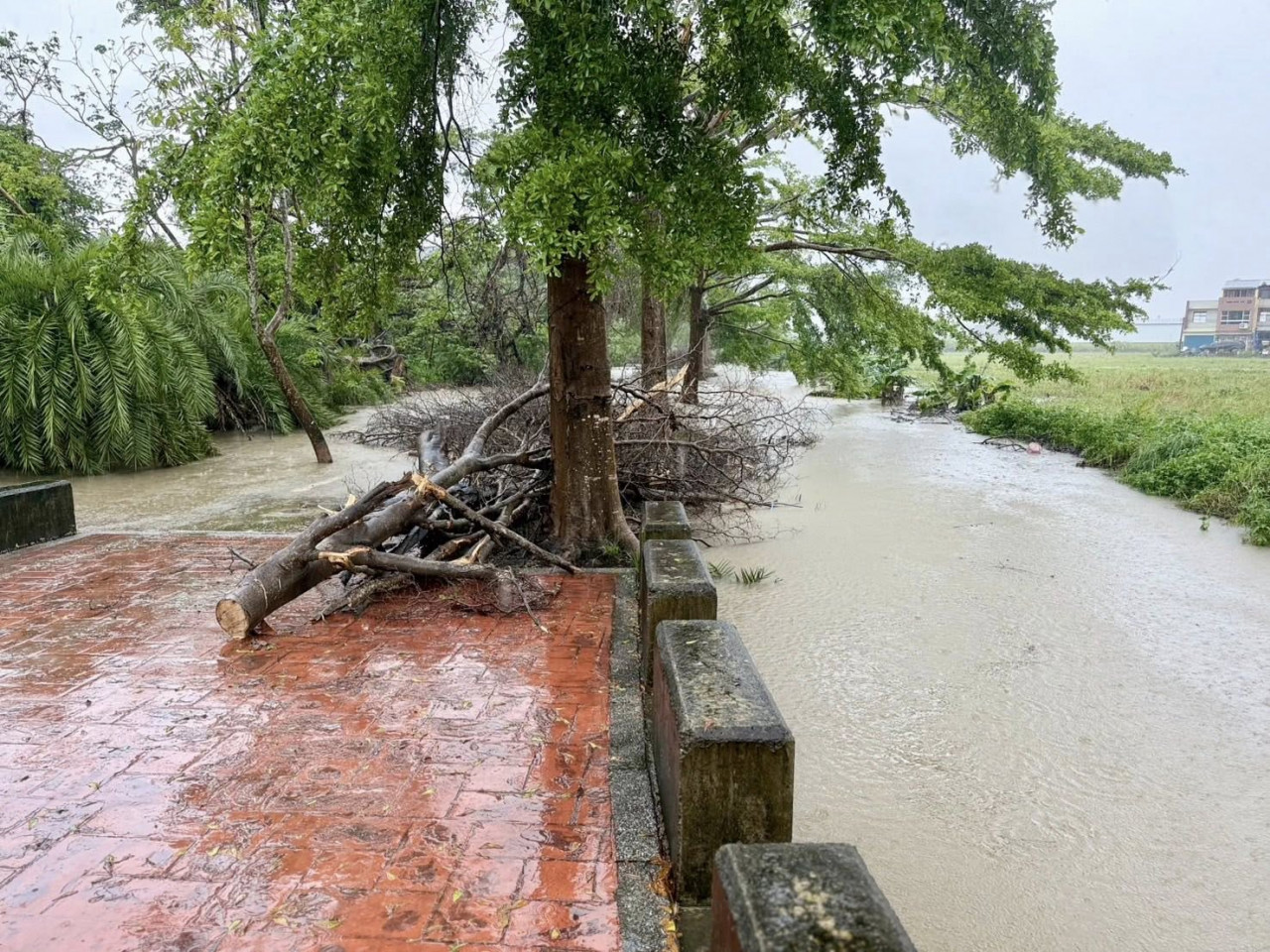 西南氣流豪雨炸中南部一週！雨量逼近莫拉克，政院千億治水拍板，社區如何強化自主防災？