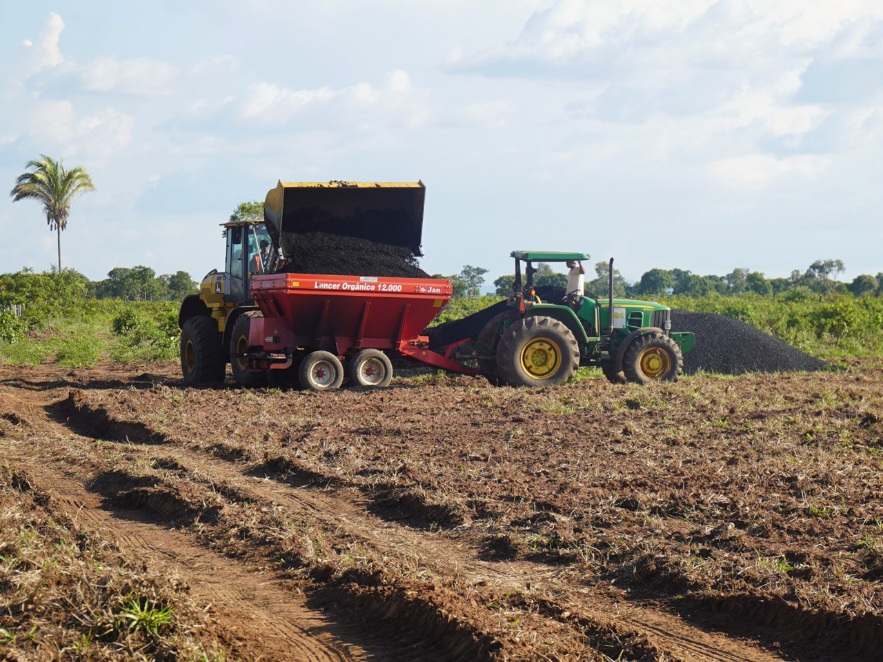 生物炭為何爆紅？微軟、Google都在買，COP30帶動全球關注，台灣如何掌握碳市場新機會？