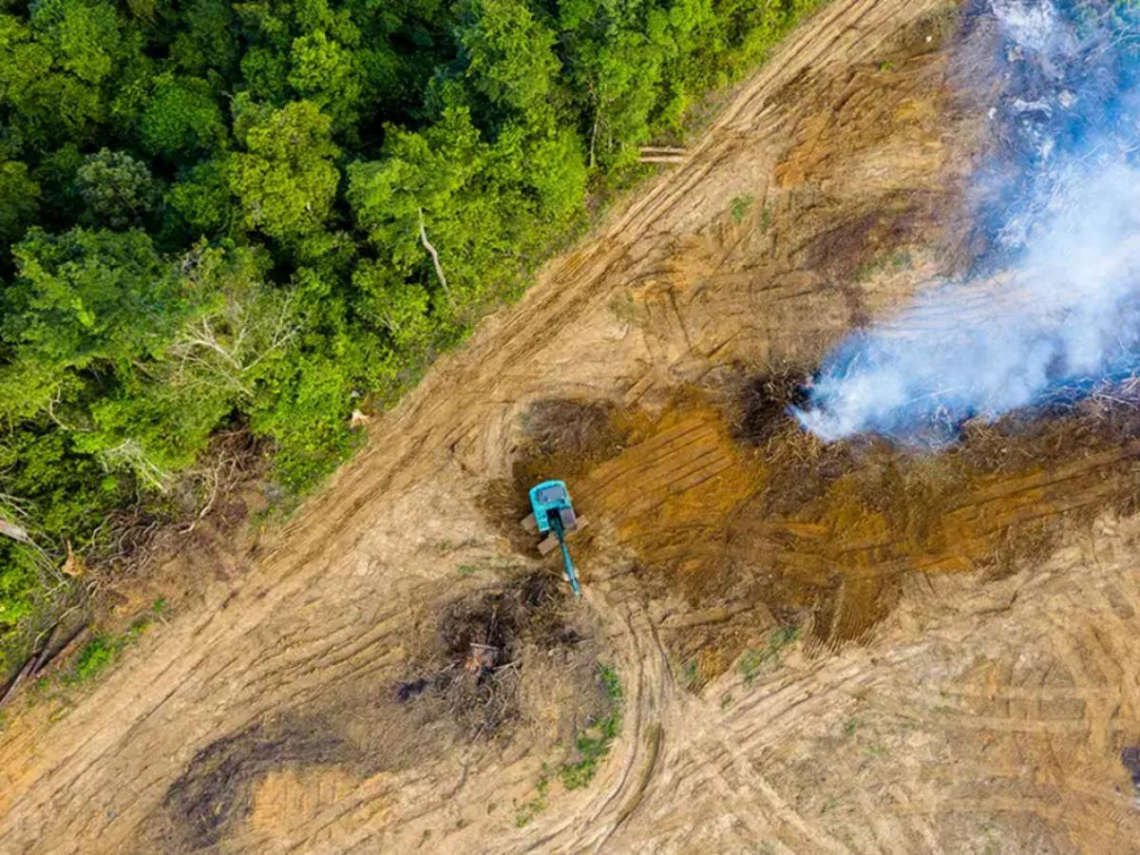 生物多樣性重磅報告》IPBES揭企業與自然10大關鍵訊息：打破GDP盲點，企業該如何啟動「自然正向」轉型？