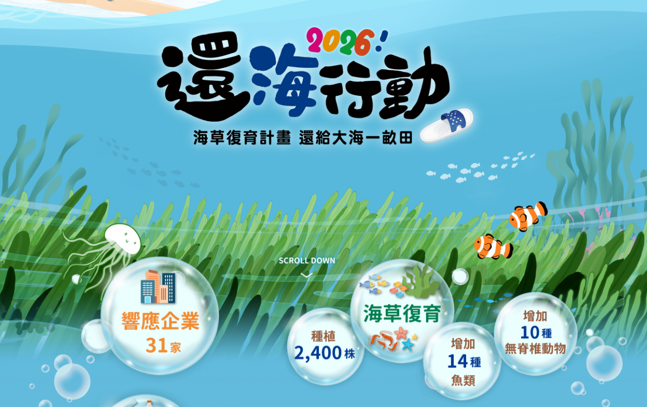 2026還海行動！海草復育計畫 還給大海一畝田