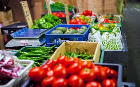 吳音寧的問題在哪裡？