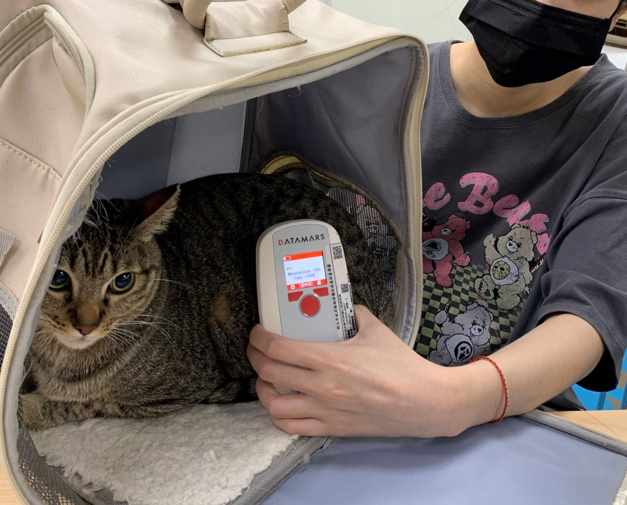 家貓晶片寵物登記罰錢