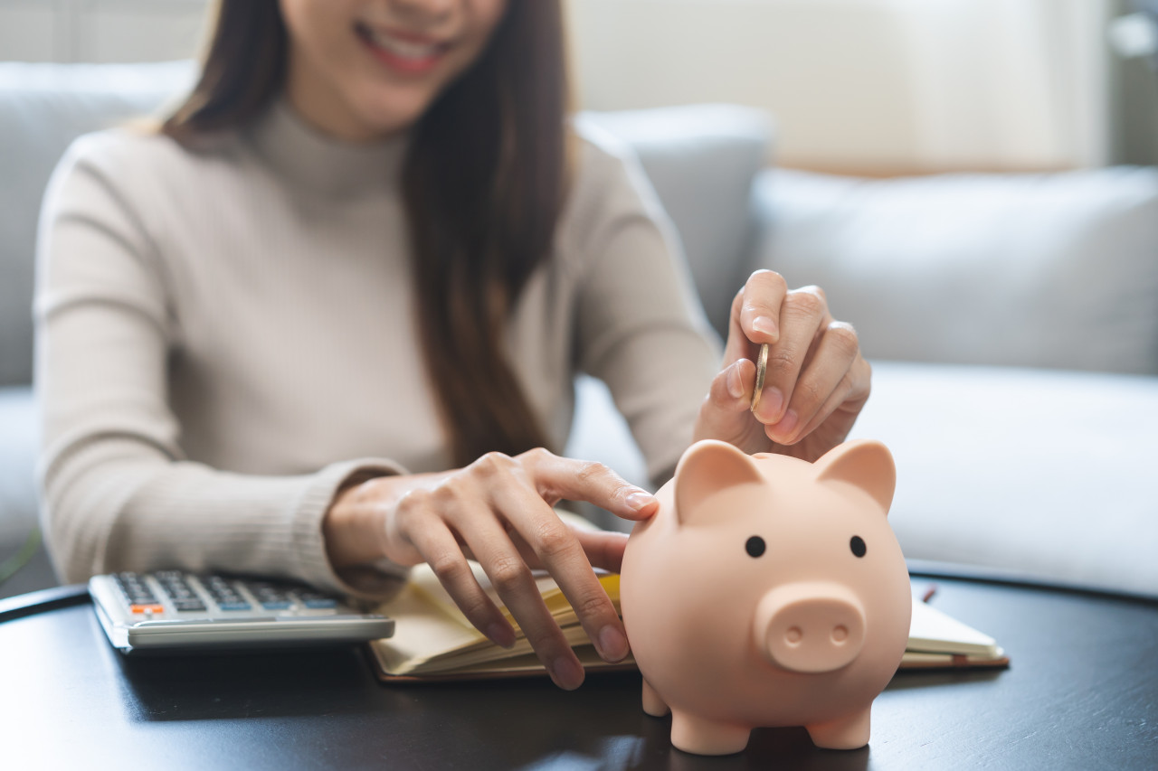 金融股富邦金國泰金存股