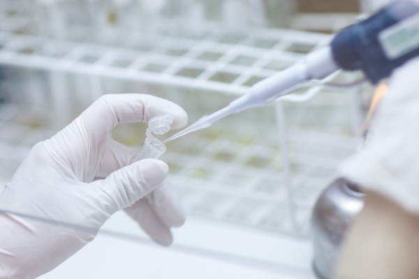 北極星藥業股價