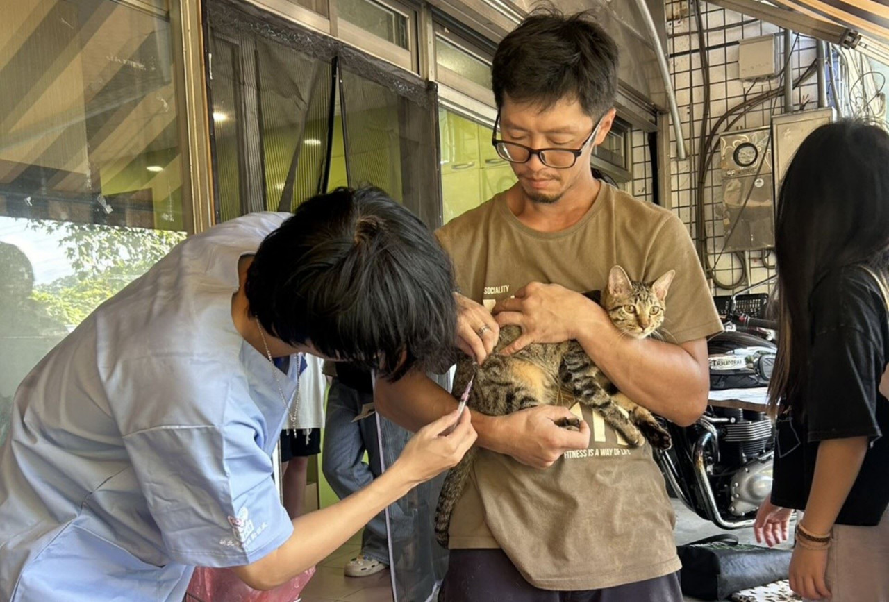 家貓晶片寵物登記罰錢