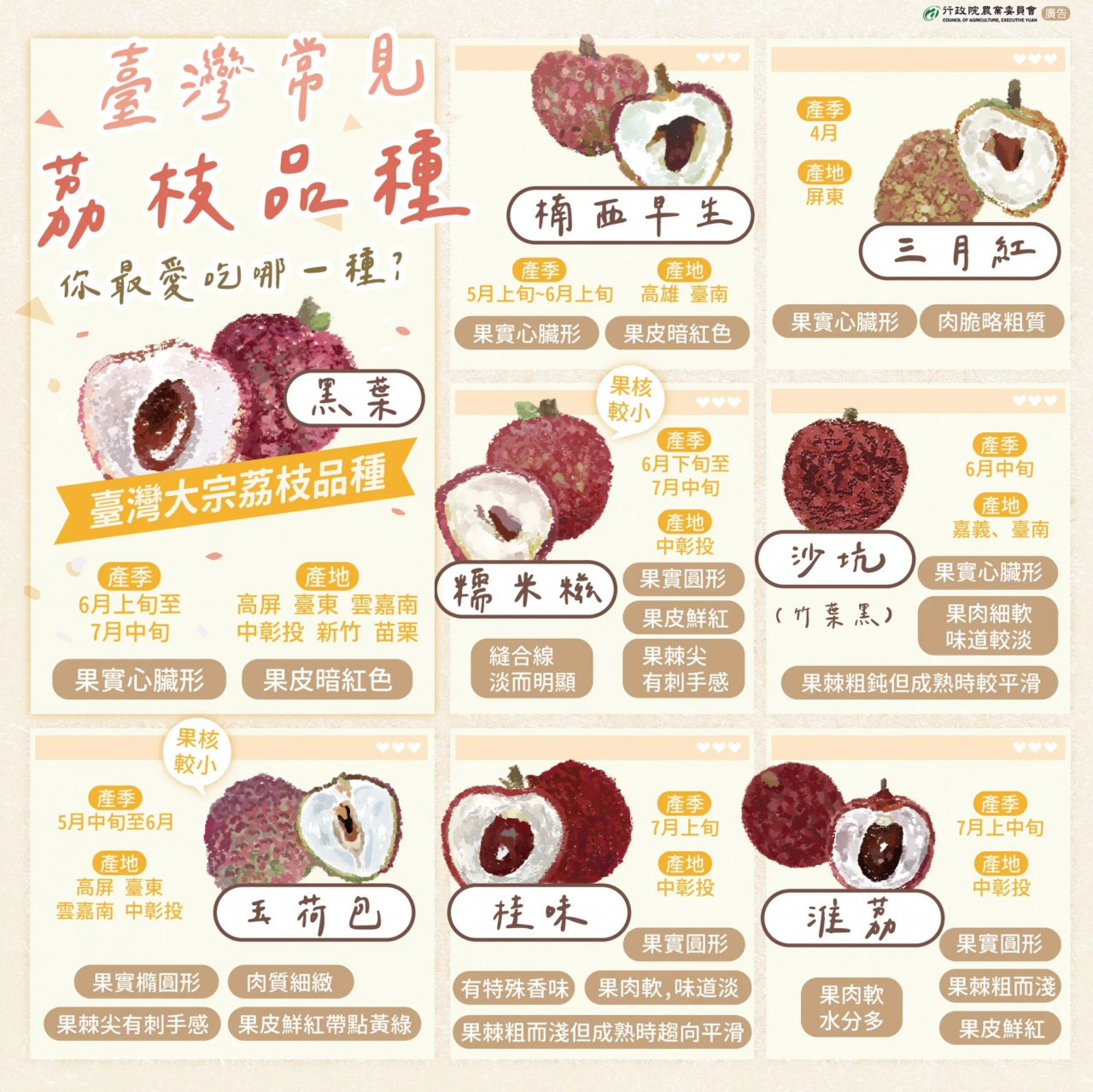 台灣常見的荔枝品種有八種。