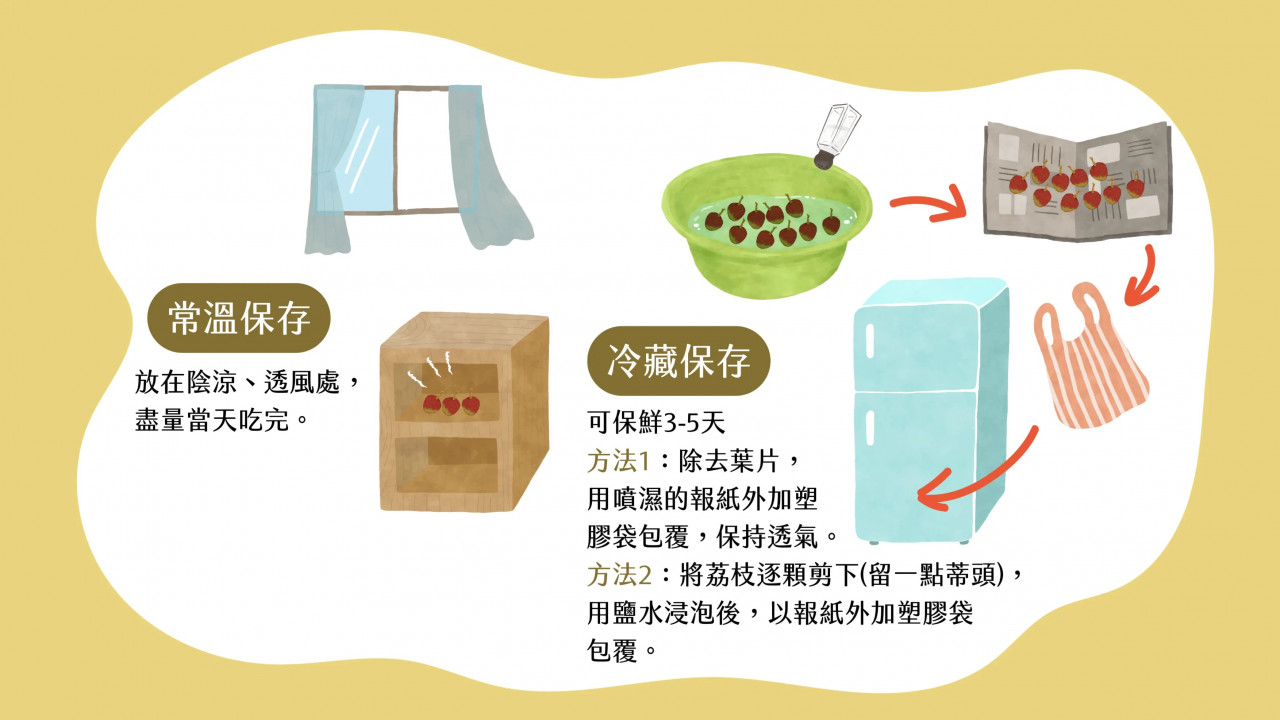 延長美味期限！荔枝的正確保存方法一次看