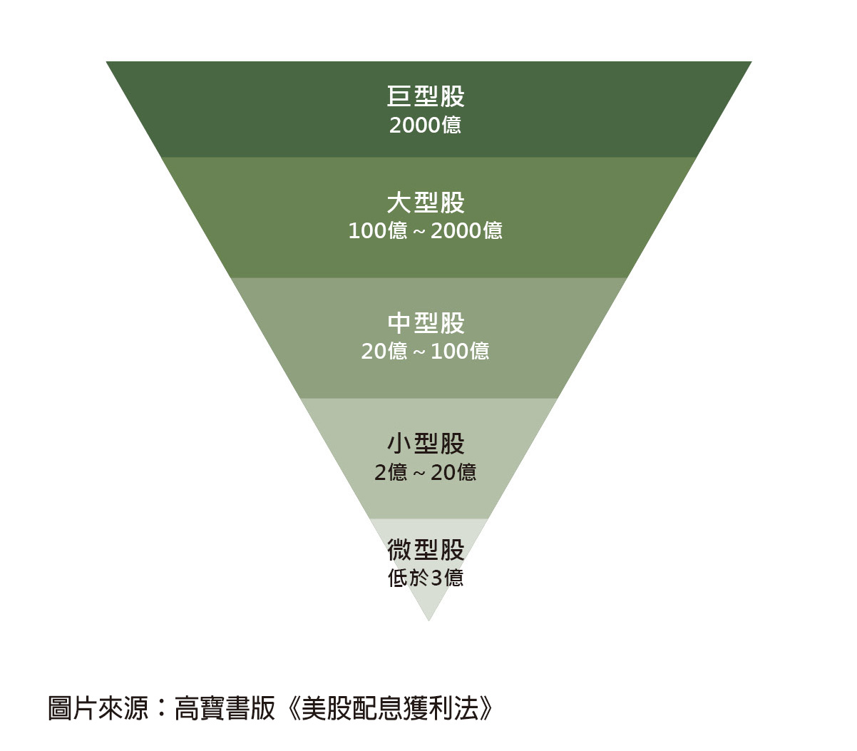 通常，在美國100 億美元以上之個股為大型股。超大型股（Mega Cap）通常是2,000 億美元以上之個股，在我的投資組合中，蘋果和微軟屬於此類。