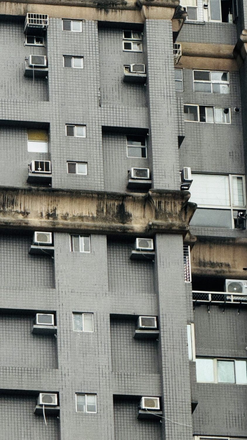 墨綠青苔 偏黑的青苔色外牆也很常見,青苔增生代表這裡長年濕氣極重,過敏體質要注意,容易引起呼吸道或皮膚疾病。