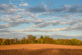 中國官媒首度點名：美國大豆會是主要報復產品