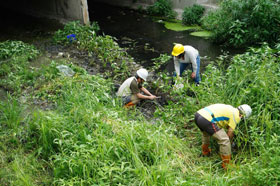 「一般安全帽寫注意安全，他們寫南無阿彌陀佛」台中綠川整治無名英雄　冒死潛水底搬礫石
