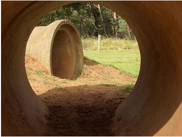 公務制度的僵固