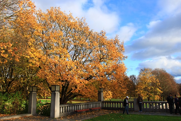 不給予同情，有時候是最大的溫柔