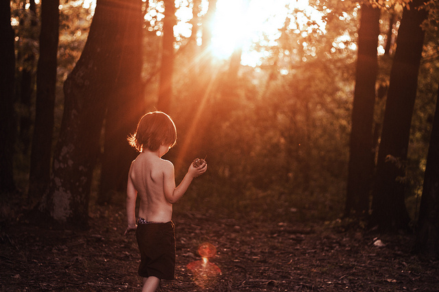 夫妻相爭、稚子何辜