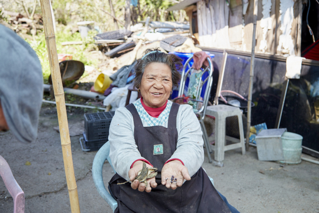 綿延母愛與記憶的滋味 伊布奶奶的思念之豆