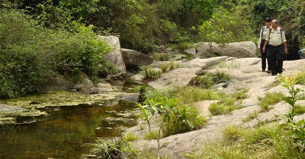 走入香港綠色天地，郊野公園新視界
