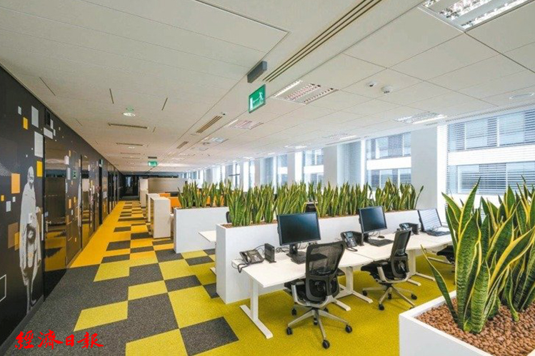 綠辦公室打氣 認知力應變力同步飆升