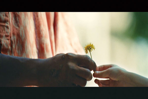 為家人甘冒生命危險的父親