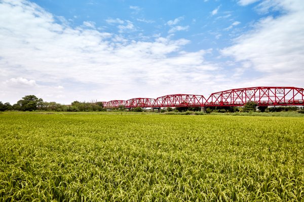 西螺延平老街漫遊