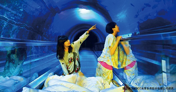 今晚，我在博物館睡覺！