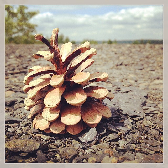 你知道自己為了什麼而努力嗎？