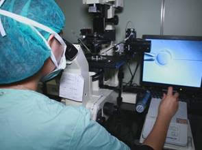 試管嬰兒與凍卵 37歲以前做是關鍵