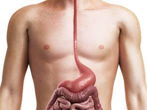 忌口＋改善生活習慣 告別「火燒心」