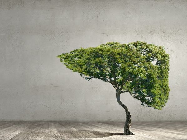 無聲警報器肝不好　身體都知道！