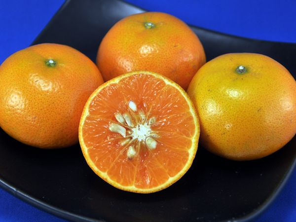 茂谷柑皮薄味香甜　富含類黃酮去毒素