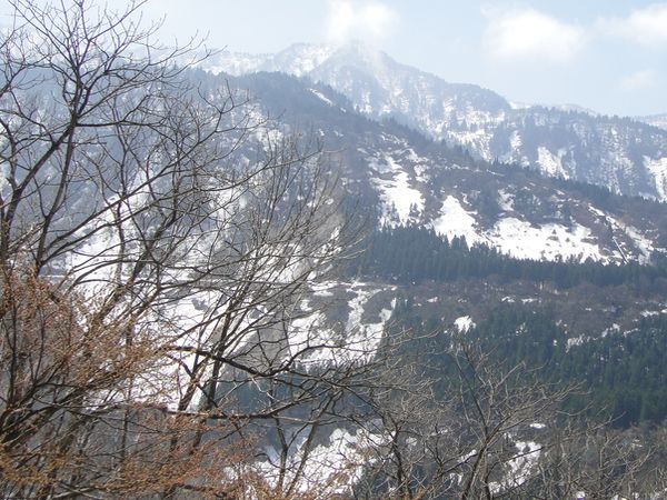 冷氣團持續發威　多種病毒趁機入侵