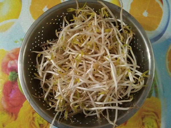 吃綠豆芽可減重？　含豐富膳食纖維+維生素C