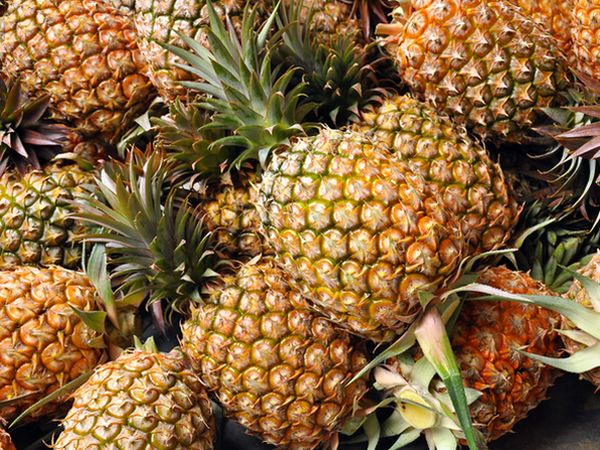 挑選好吃鳳梨訣竅　輕拍有鼓聲最香甜