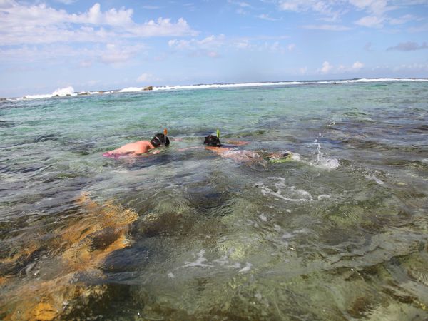 男子潛水割傷腳踝　染蜂窩性組織炎險截肢