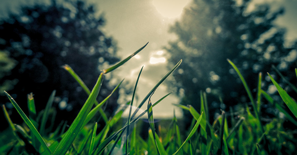 乾淨的人， 乾淨的空氣