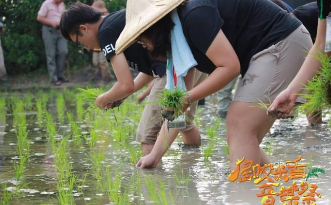 青年深耕仕安 活化在地稻米產業