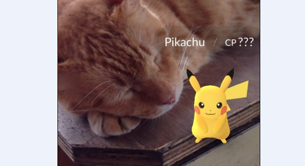 訓練師的玩耍之旅  新北風景區寶可夢捕捉攻略大公開