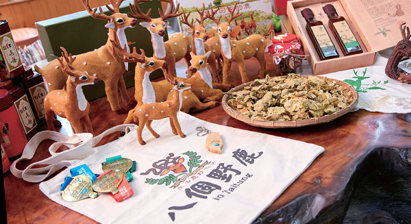 八個野鹿在臺東 拼出鹿野新遊程