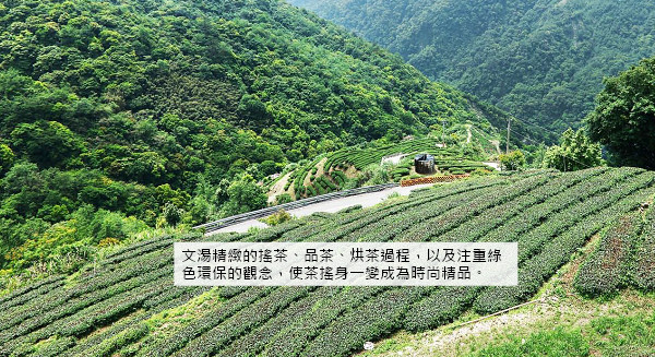 文湯公司 站穩國際綠色茶產業精品地位