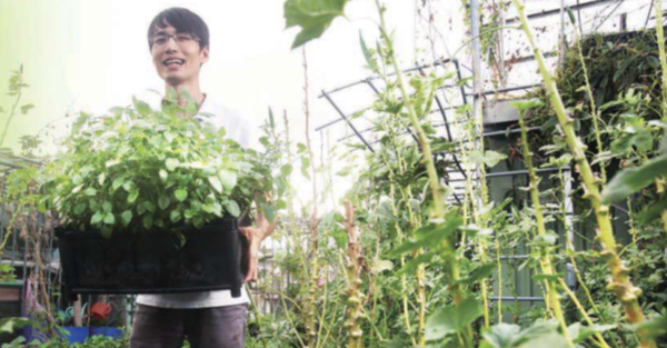 邁向綠色好生活 育材模型 菜園就在我家屋頂