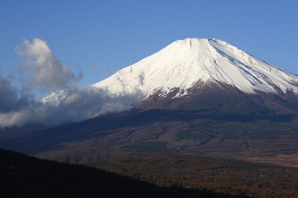 在山上－陳老闆唱片行