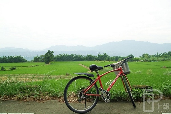 欣賞不同層次的綠　悠閒踩踏三坑客家庄